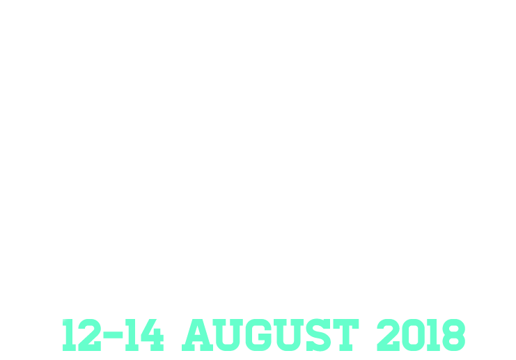 Bristol Balloon Fiesta 2018 logo